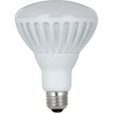 Feit Electric BR30 LED Light Bulb