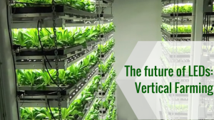 vertical farming with LEDs